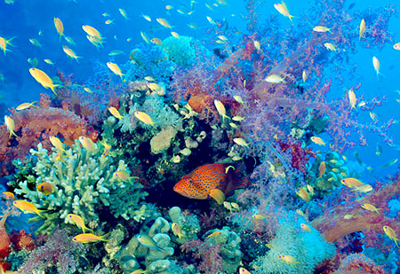 marinescience